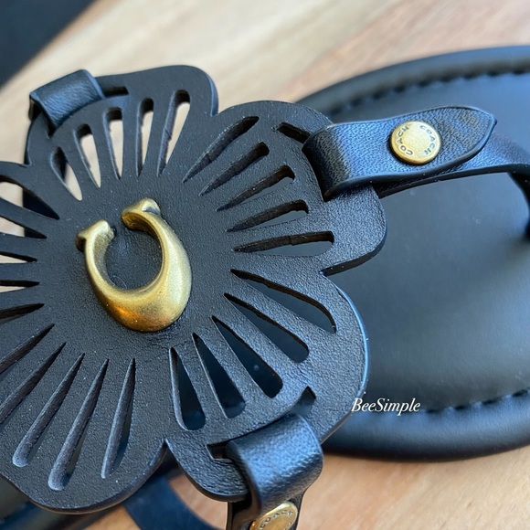 Coach Julia Sandal - Picture 5 of 9